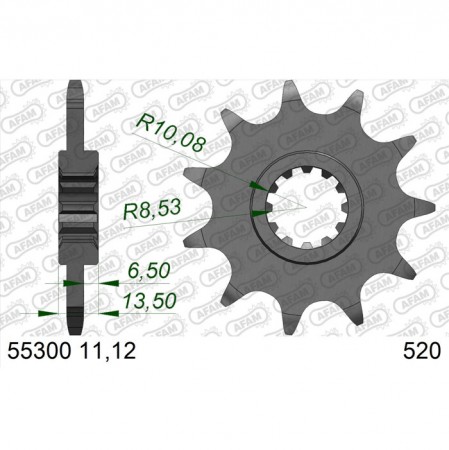 Ritzel 55300-11